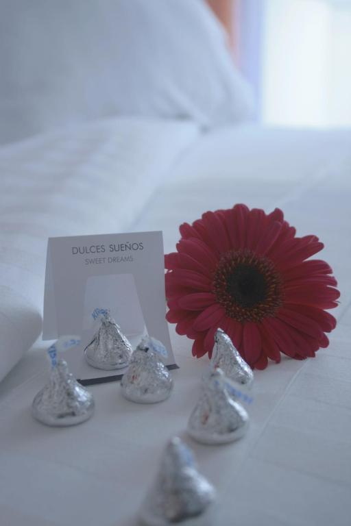 Hotel Lugano Suites Bogotá Dış mekan fotoğraf